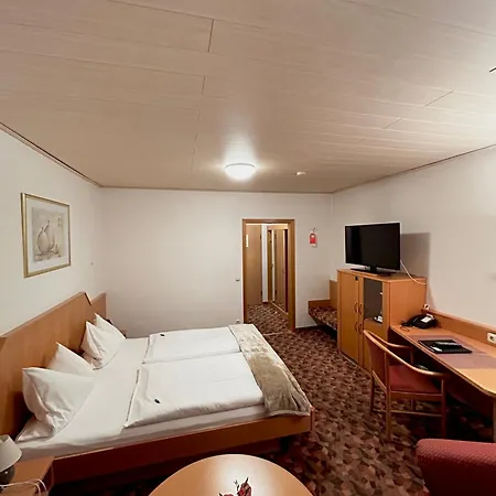 Hubertus Rhein Hotel Gernsheim