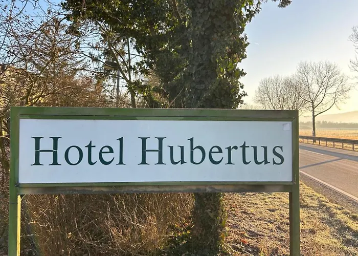 Отель Hubertus Rhein 3*