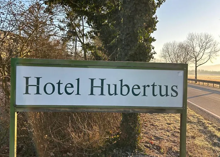 Отель Hubertus Rhein