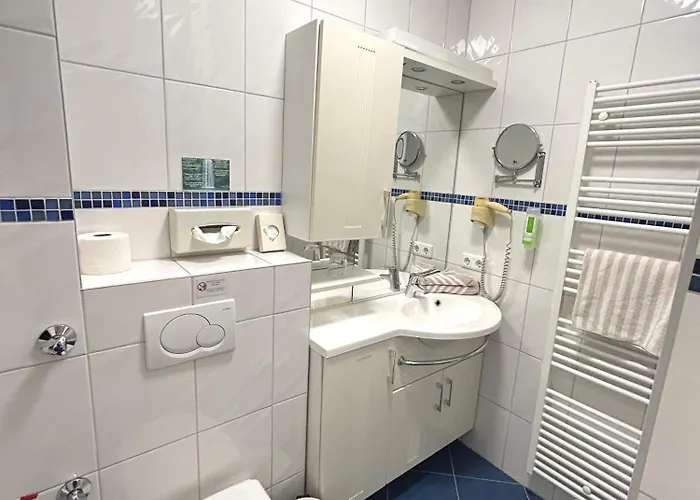 Hubertus Rhein 3* Гернсхайм