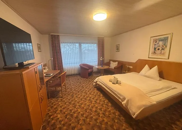 Отель Hubertus Rhein 3*